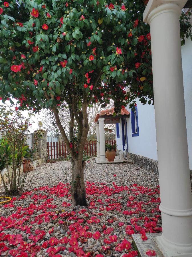 Fazenda Do Marante Hostel Tomar Ngoại thất bức ảnh